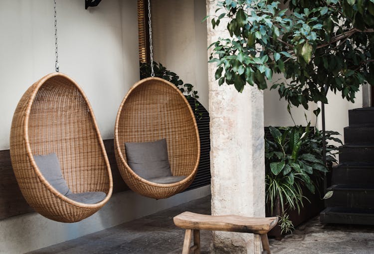 Brown Egg Chair Hanging Near Tree