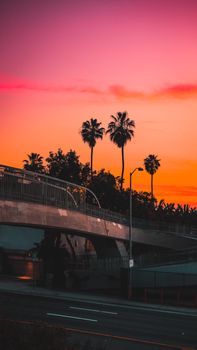 Vibrant sunset over palm trees and pedestrian bridge in Santa Monica, CA.