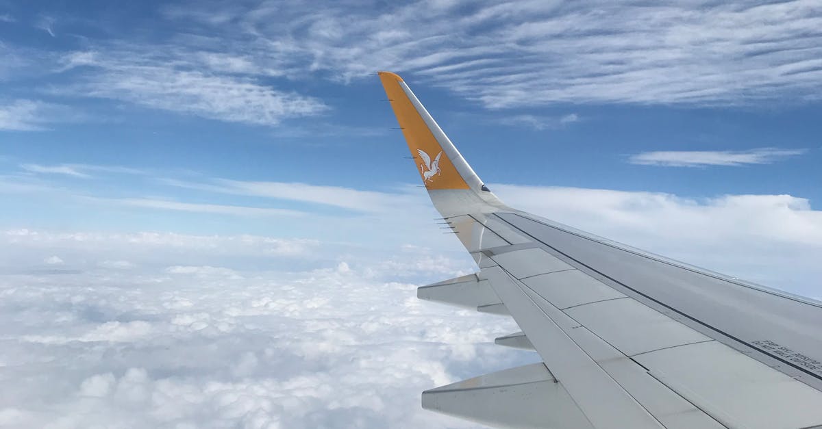 How to draw realistic aircraft