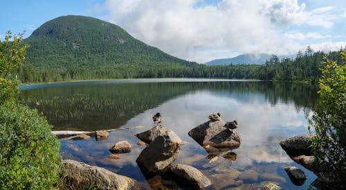 Ilmainen kuvapankkikuva tunnisteilla hiekkaranta, järvi, joki