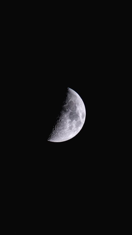 Half Moon in the Dark Night Sky