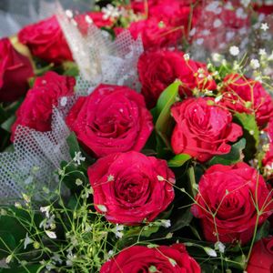 Close-up of red roses with greenery