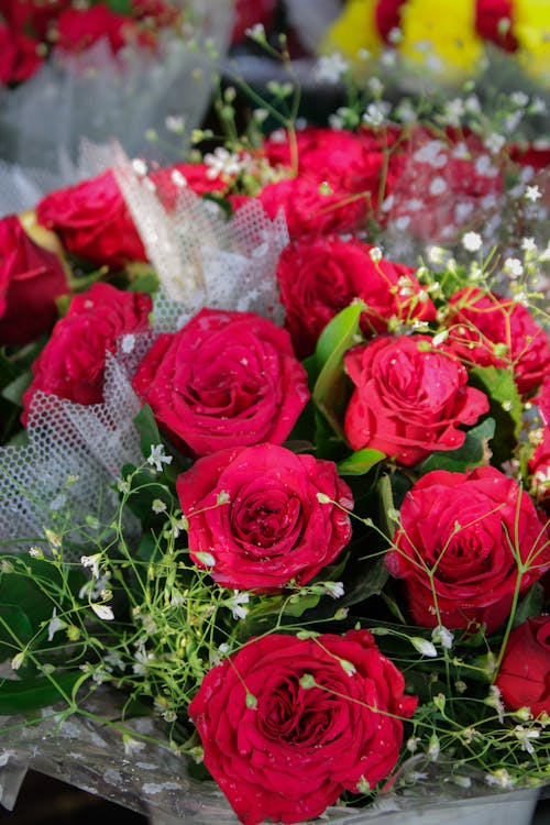 Bouquets of Red Roses in Close Up Photography