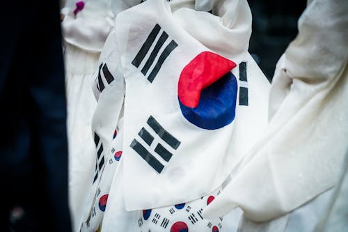 Безкоштовне стокове фото на тему «впритул, зморшкуватий, Південна Корея» стокове фото