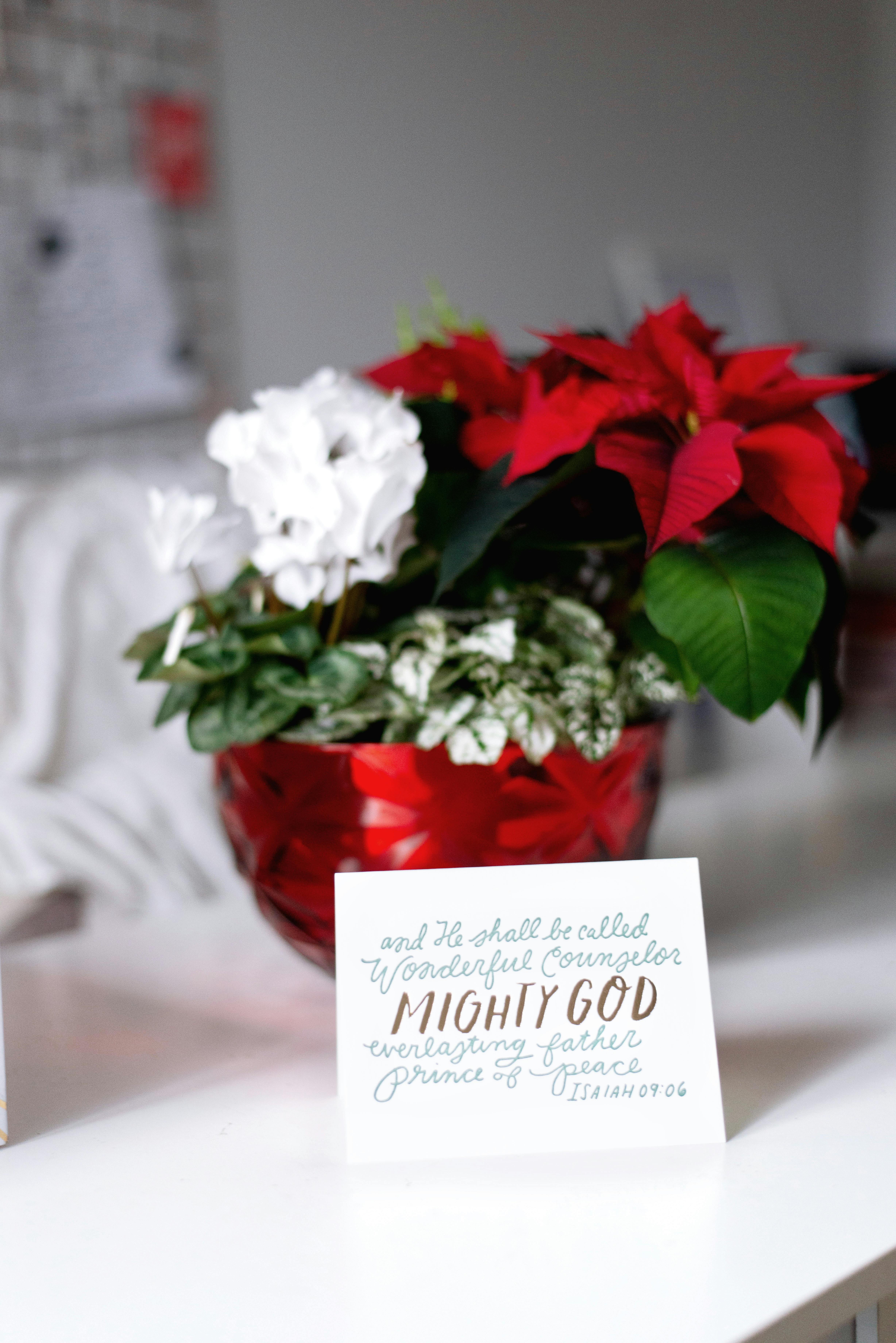 Religious Christmas Card Photos, Download The BEST Free Religious