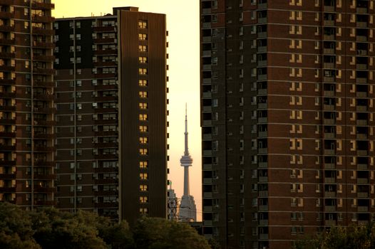 The CN Tower seen between apartment buildings in Toronto during a golden sunset.