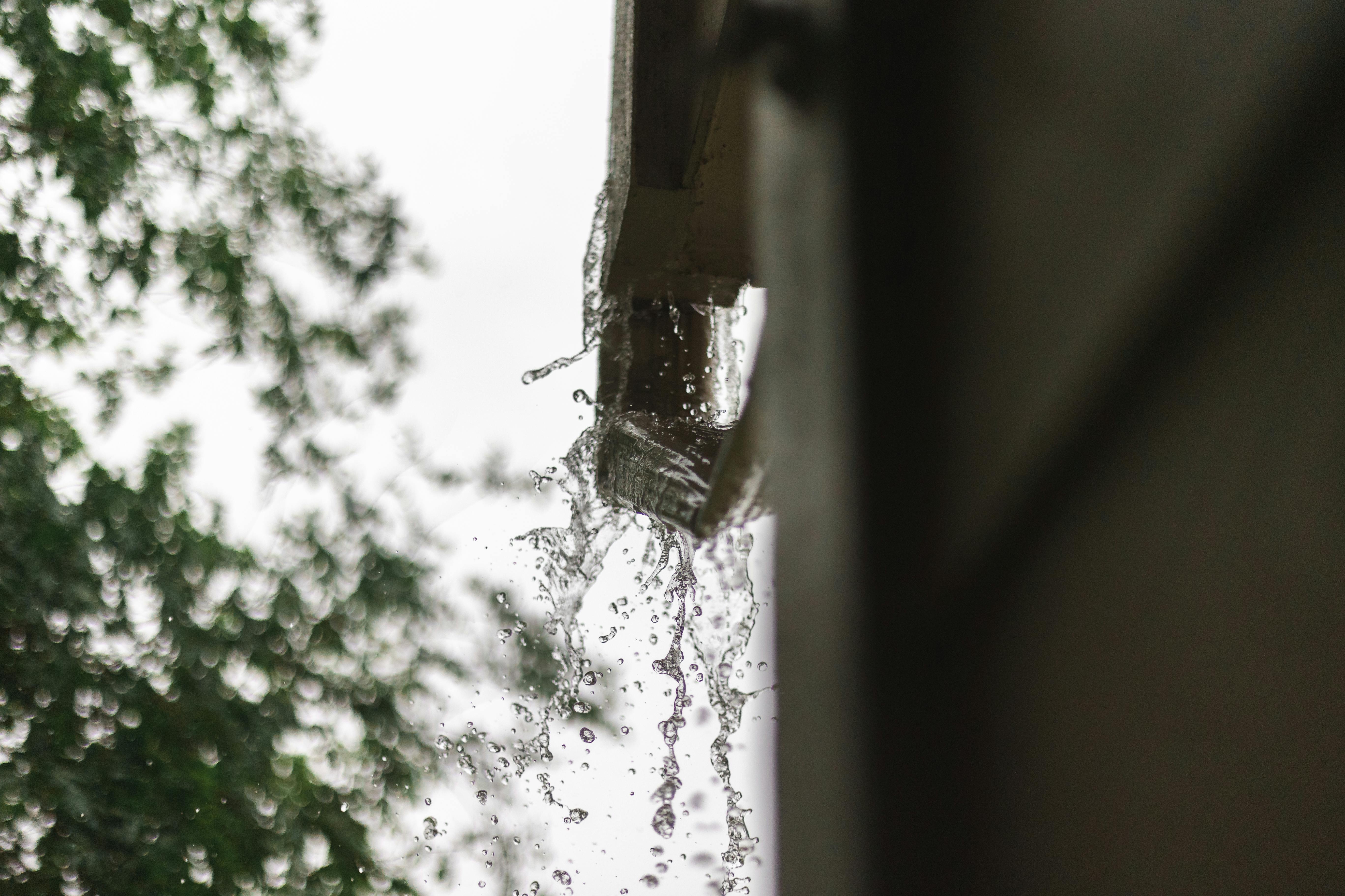 Water on the Gutter in Macro Shot Photography