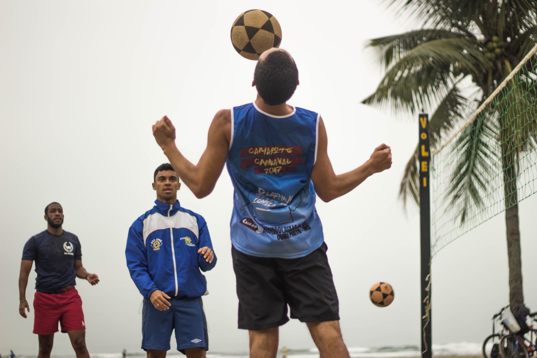Three men playing a volleyball game on the beach with palm trees nearby. Athletes enjoy sports in nature.