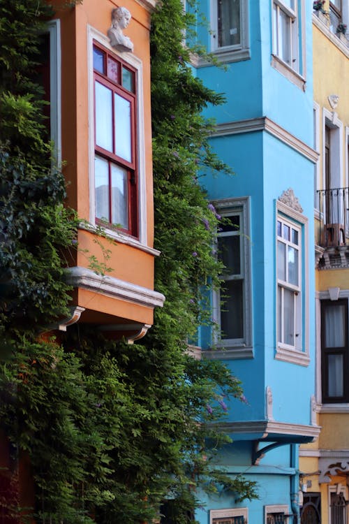 Základová fotografie zdarma na téma barevné budovy, Istanbul, krocan