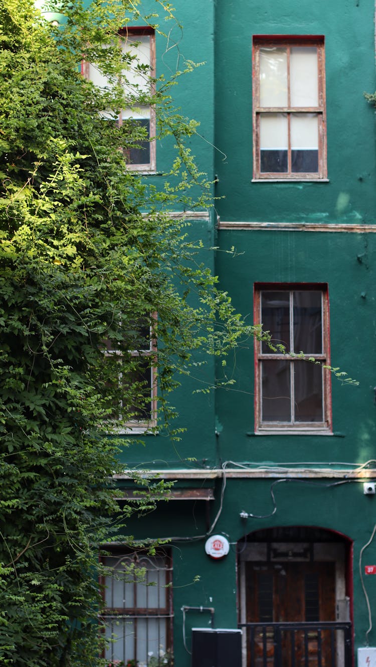 A Green Building With Windows