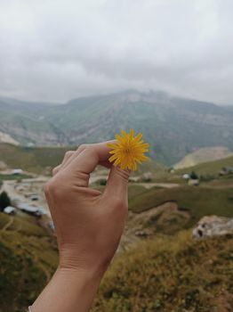 A hand holding a yellow dandelion against a scenic mountainous background.