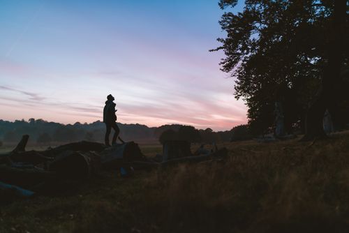 Free A romantic couple silhouetted against a sunset in a tranquil forest setting. Stock Photo