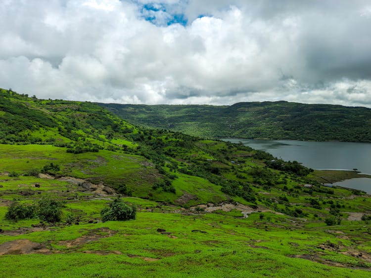 Lush Meadows Surrounding Lake