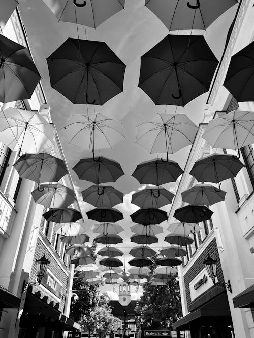 Grayscale Photography of Umbrellas Hanging on the Street