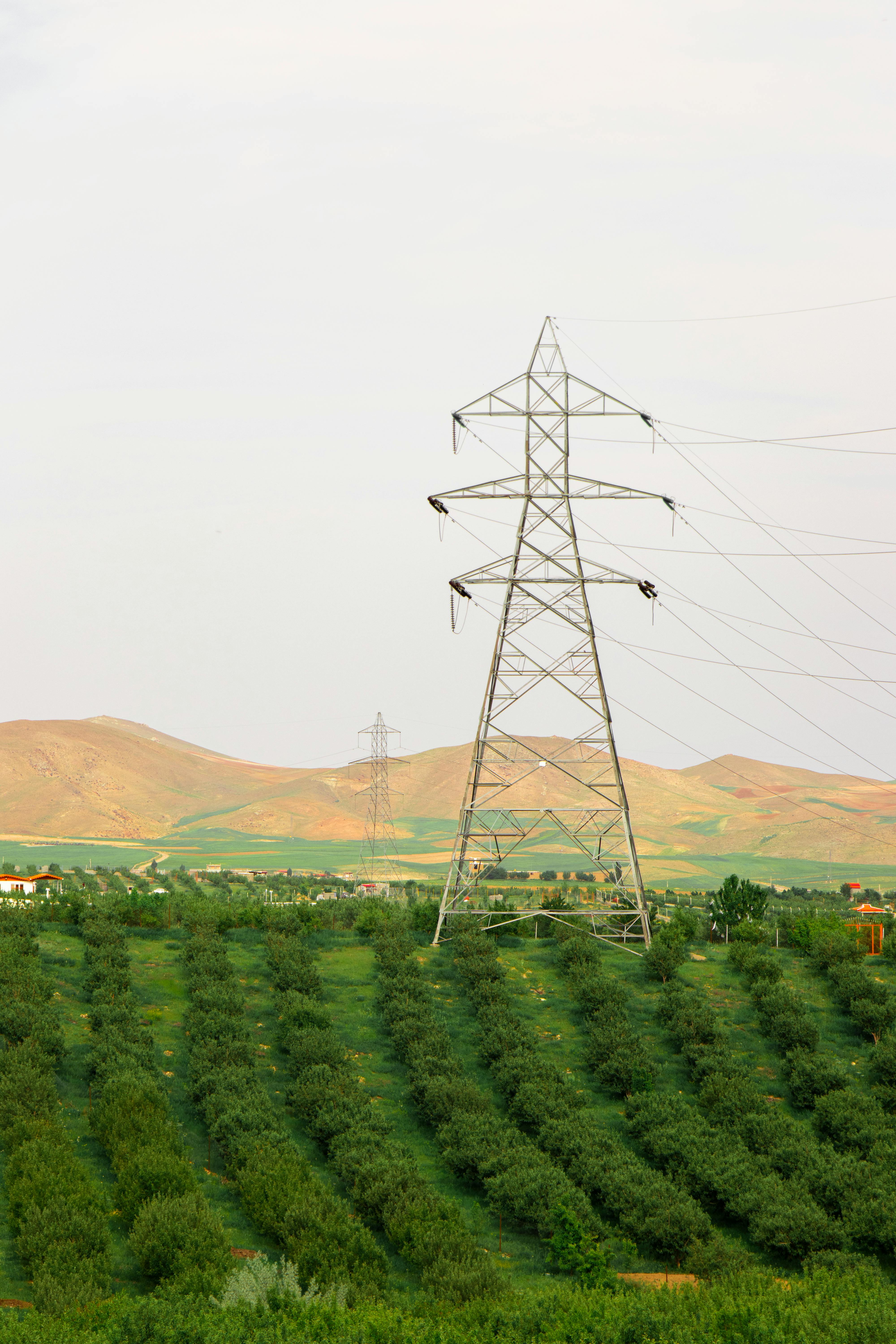 Transmission Tower Over a Plantation · Free Stock Photo
