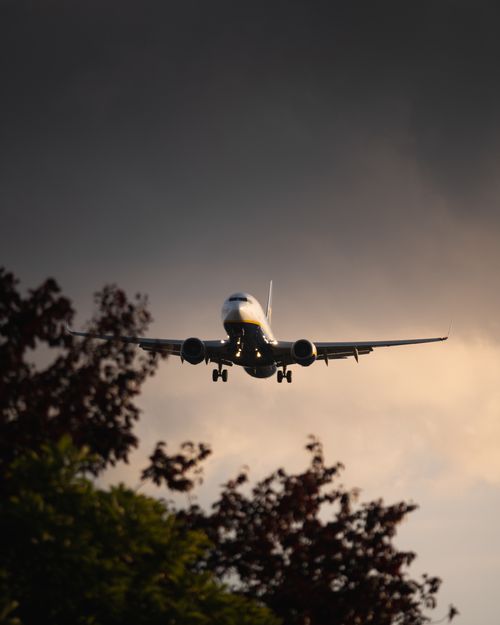 Free Passenger airplane descending through gloomy sky over Hamburg, with trees silhouetted in the foreground. Stock Photo