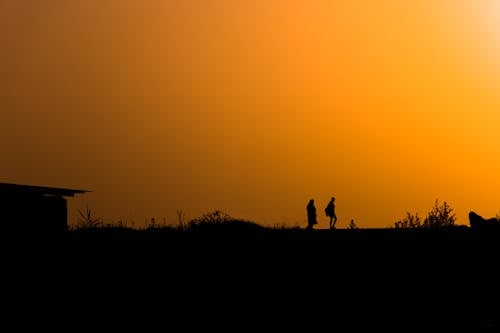 걷고 있는, 노란 하늘, 농촌의의 무료 스톡 사진