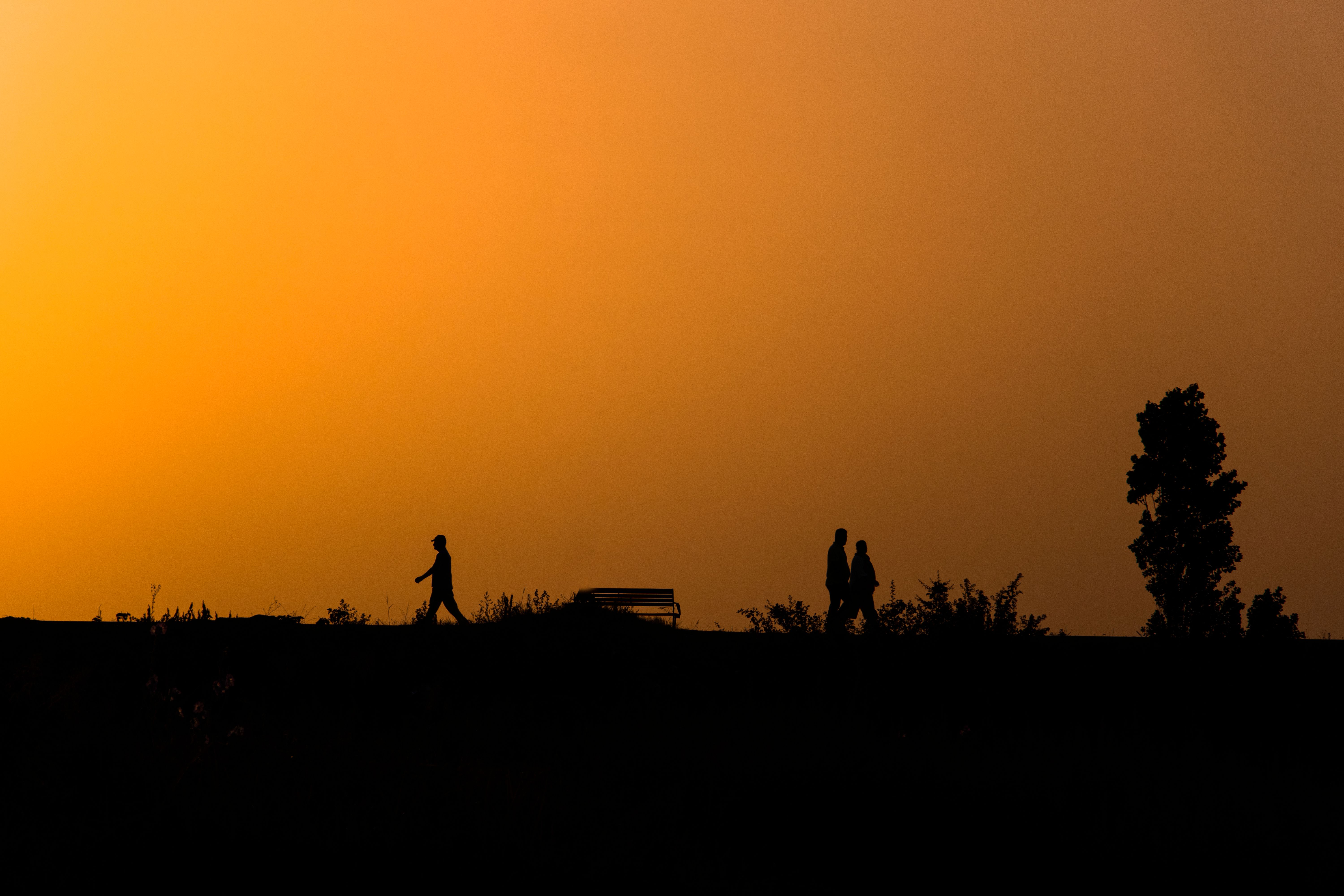 Silhouette of a People During Golden Hour · Free Stock Photo