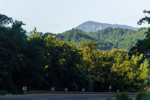 Tabriz, Iran photo 5