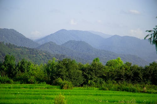 Kostnadsfri bild av grön, kullar, landsbygden