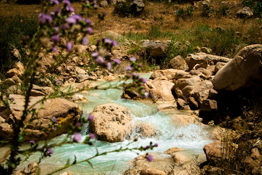 Tabriz, Iran photo 25