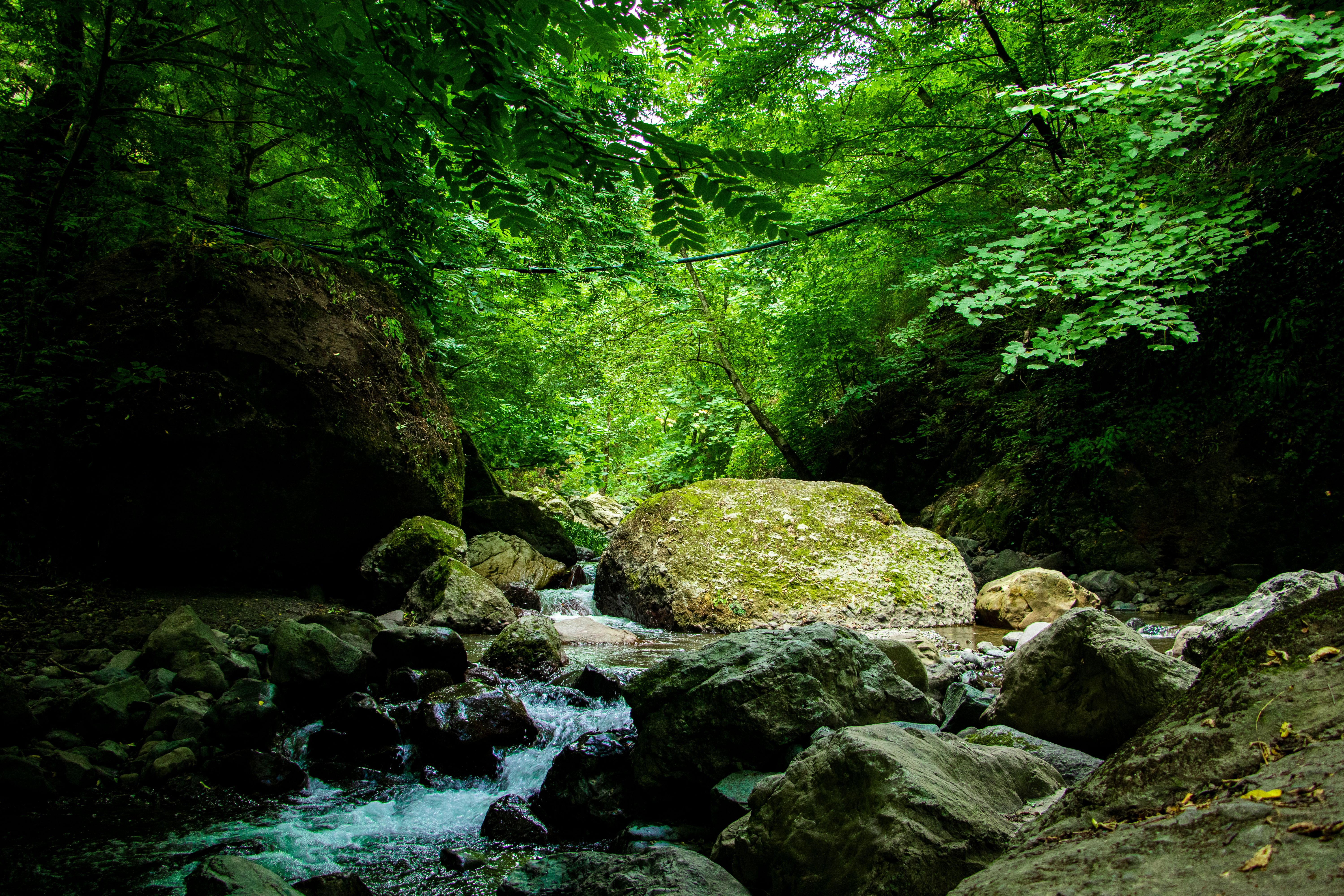 Travel inspiration for The Human Landscapes Documentary Trail: Six Countries of Culture, Wilderness & Living Traditions