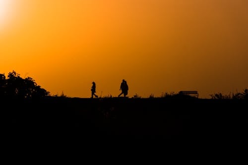 Silhouette of People Walking on Grass Field during Sunset