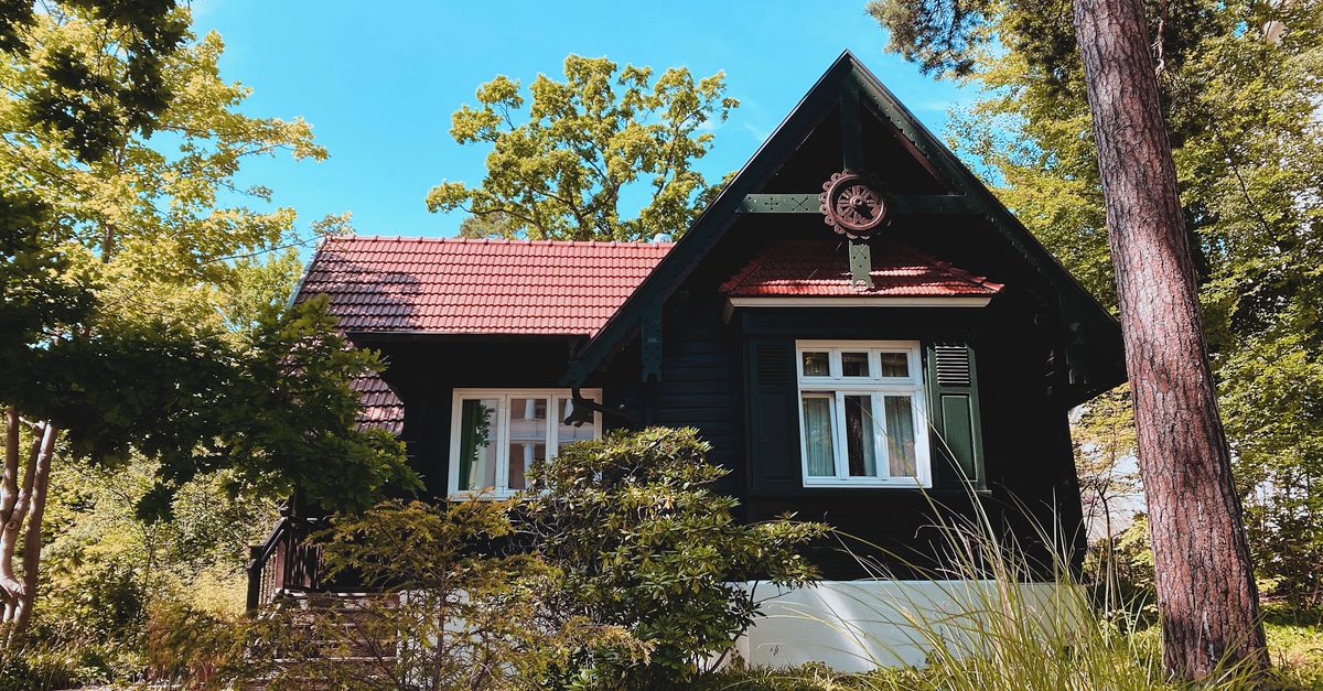 Charming wooden cabin surrounded by lush forest in Sellin, perfect for a summer getaway.