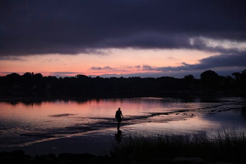 Free Silhouette of Person walking on a Shoreline during Dawn  Stock Photo