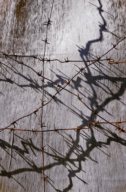 A Person Wearing Zentai Suit with Barbed Wire Coiled on His Body