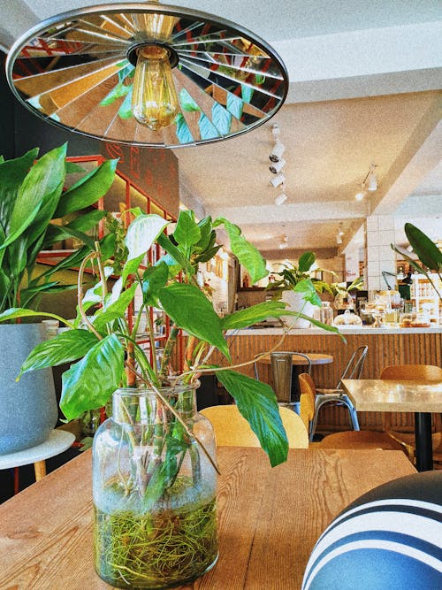 Free stock photo of café, cafe interior, cafe table Stock Photo