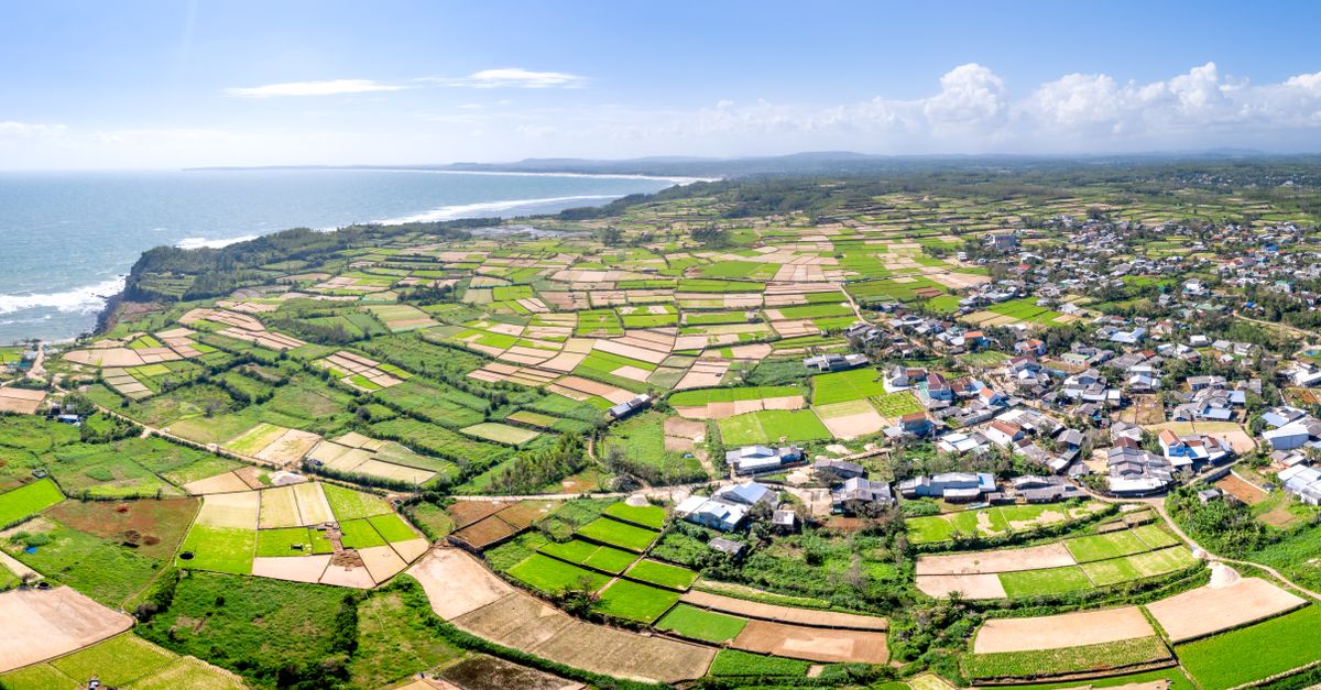 沖繩新建物件銷售增長分析:2026年上半年銷售111件 沖繩新建物件銷售增長分析:2026年上半年銷售111件