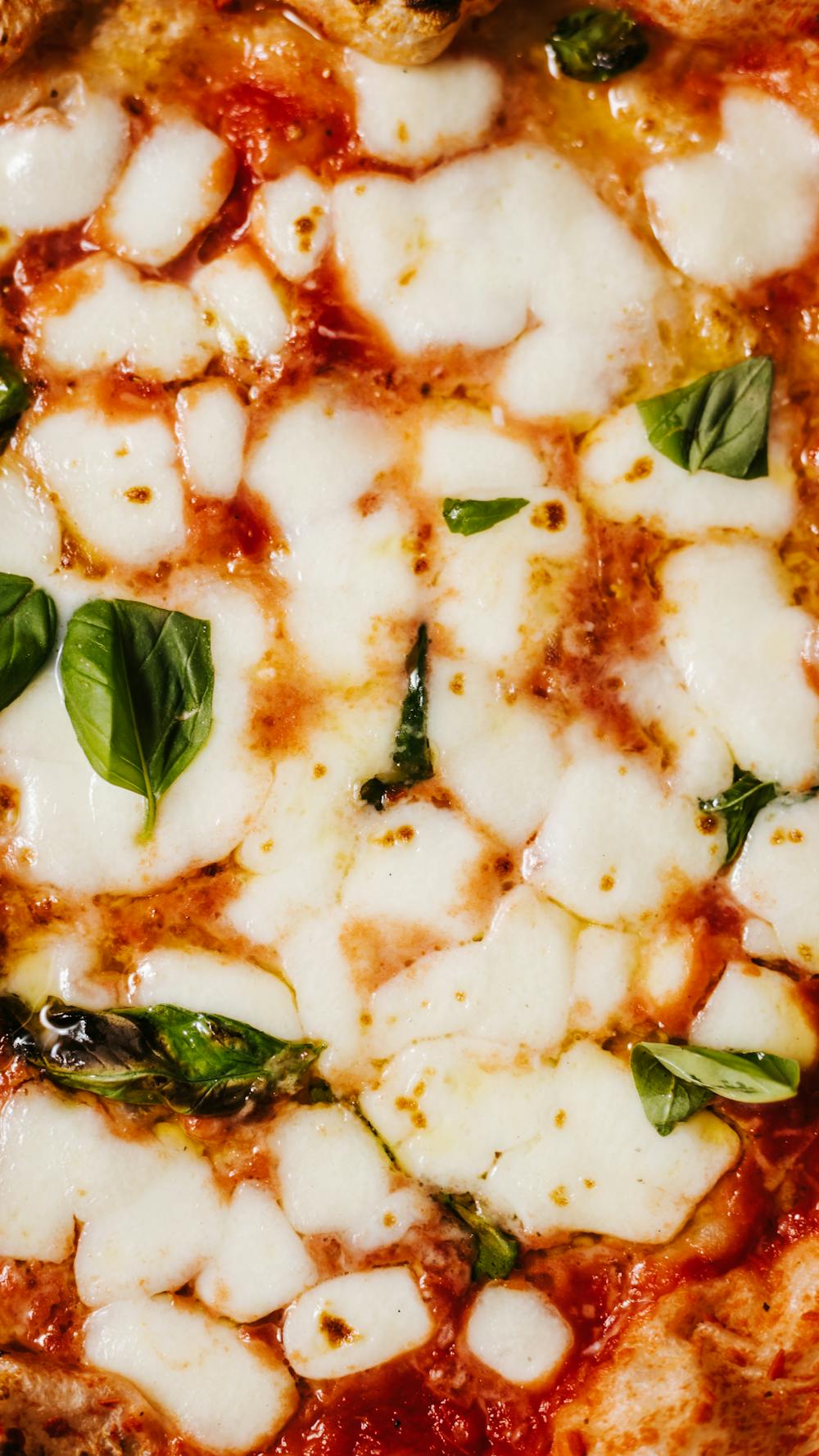 Classic Margherita Sourdough Pizza Classic Margherita Sourdough Pizza