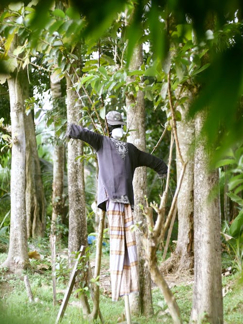 Gratis stockfoto met cultuur, Indonesië, jogja