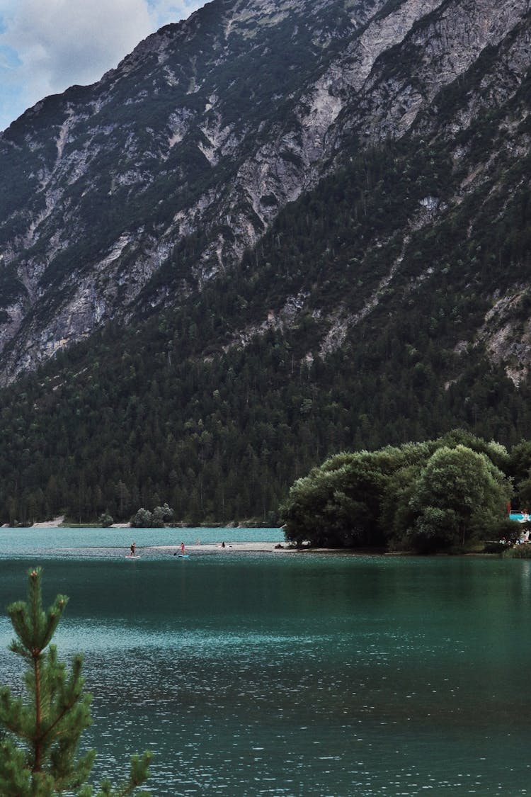 Lake, Forest And Mountain