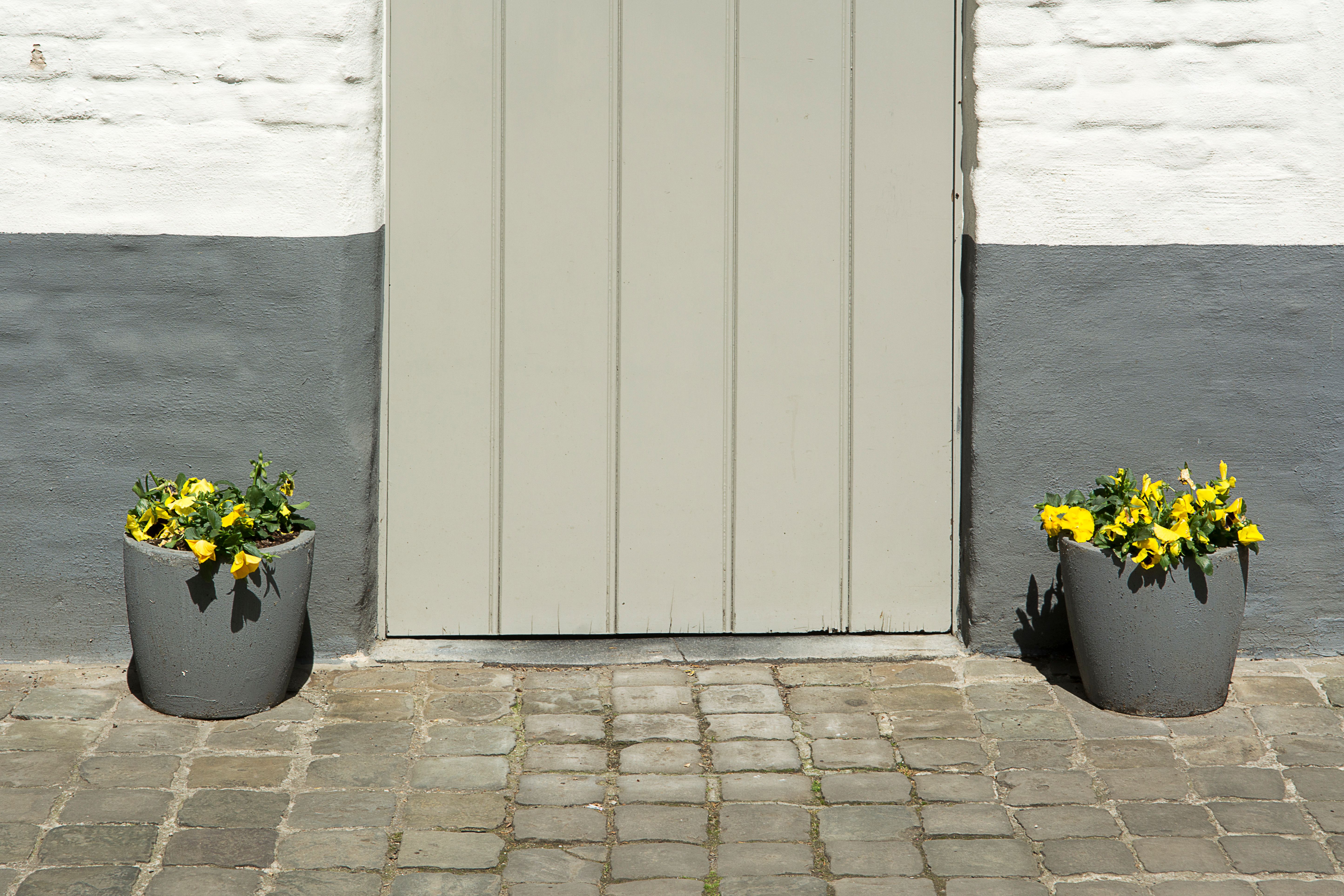Rustige entree van een woning