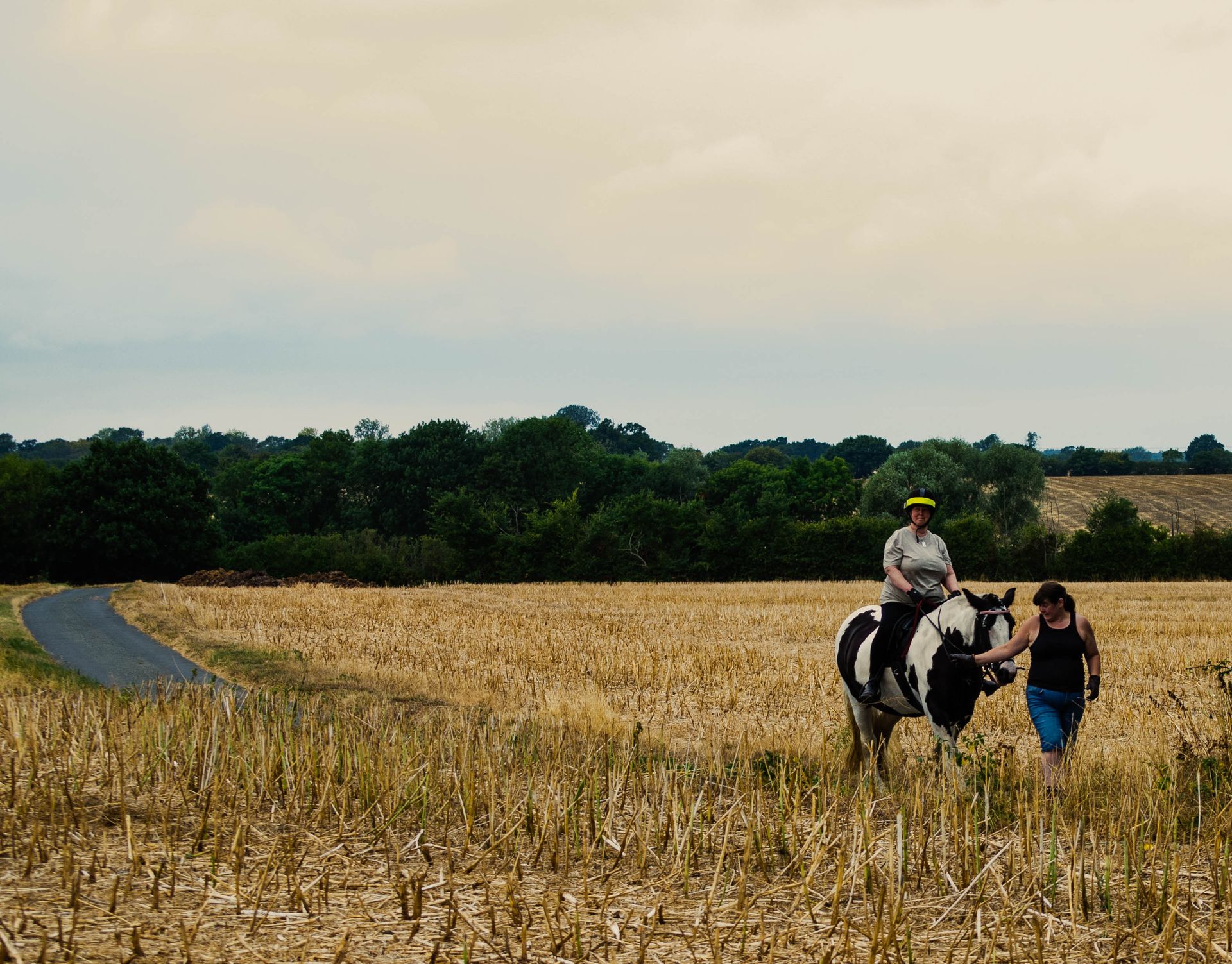 People Walking Horse through Field