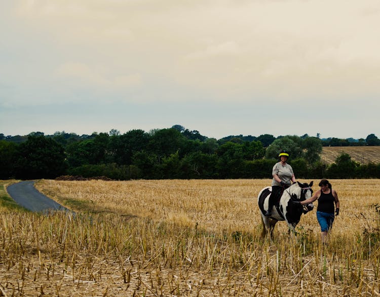 People Walking Horse Through Field