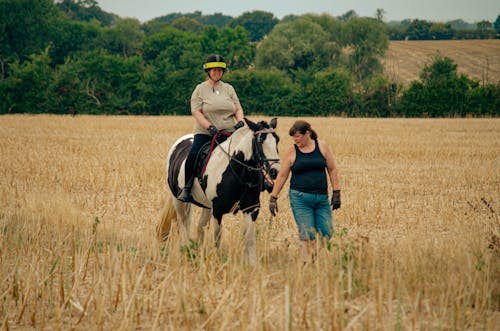 Δωρεάν στοκ φωτογραφιών με αγρόκτημα, άλογο, γυναίκες