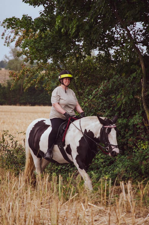 Δωρεάν στοκ φωτογραφιών με άλογο, γυναίκα, ιππασία