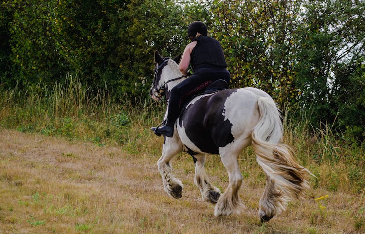 A Person Riding A Horse