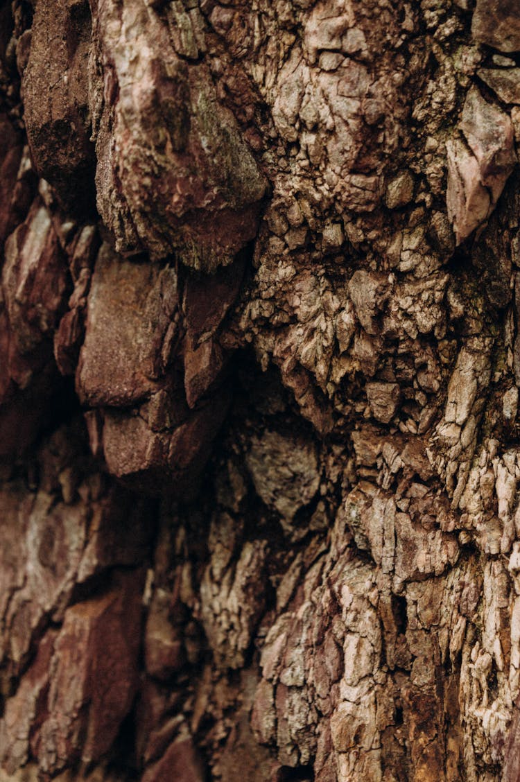 Close Up Of Rock Surface