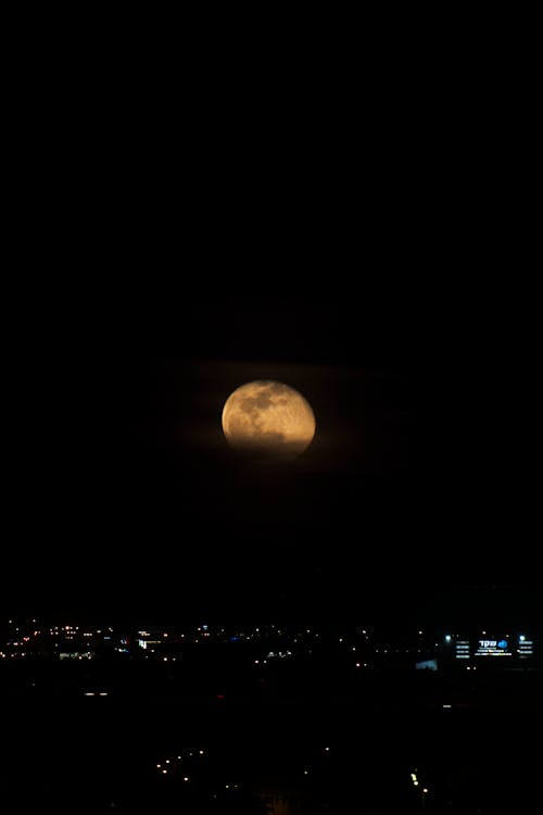 夜, 月, 満月の無料の写真素材
