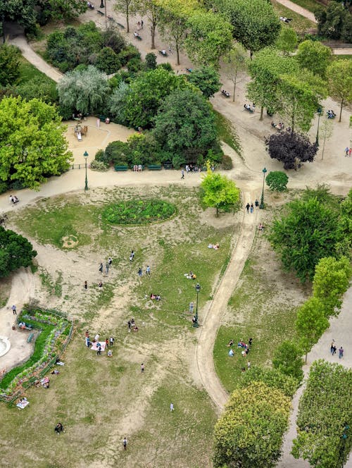 Fotos de stock gratuitas de árboles verdes, campo, foto con dron