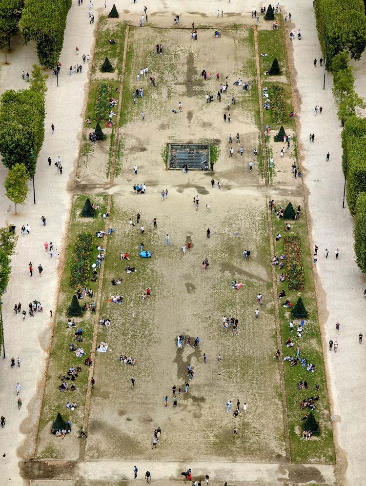 Aerial View Of People In A Park In City 