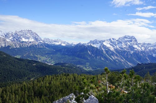 Aerial View of Green Trees on the Mountain