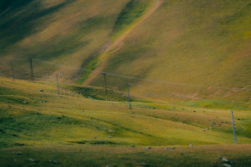 緑, 草地, 送電塔の無料の写真素材