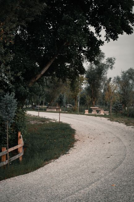 A quiet state park campground with empty picnic tables, tall evergreens, and a paved loop road at golden hour