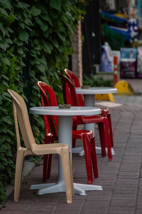 Foto d'estoc gratuïta de cadires de plàstic, heura, plantes
