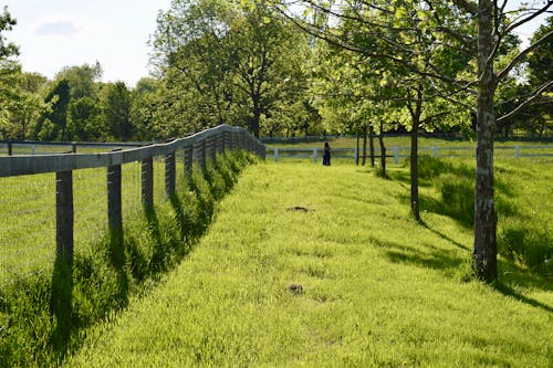 Wooden Fence on the Grass Land